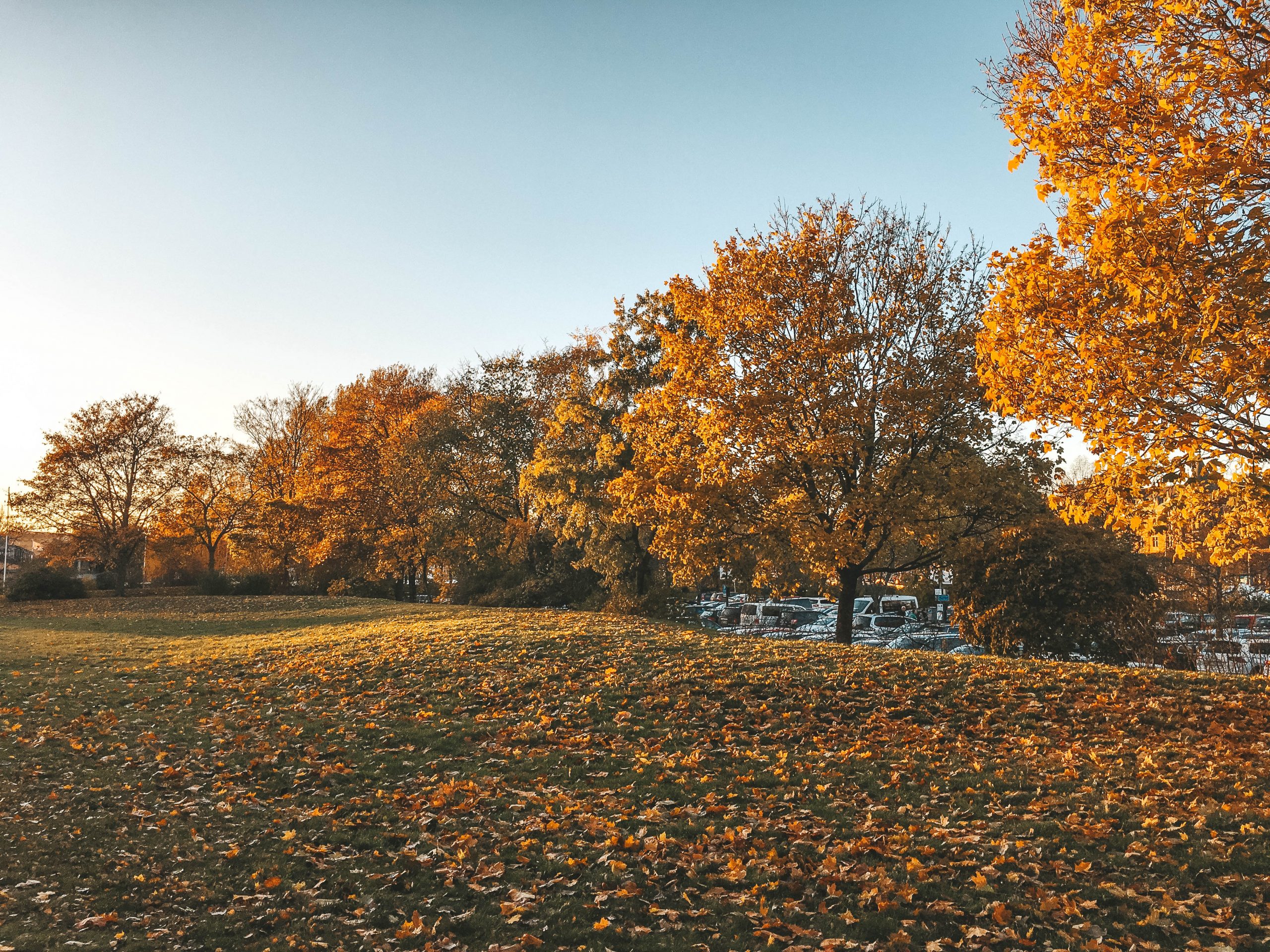 Autumn in Sweden A photo album The Newbie Guide to Sweden